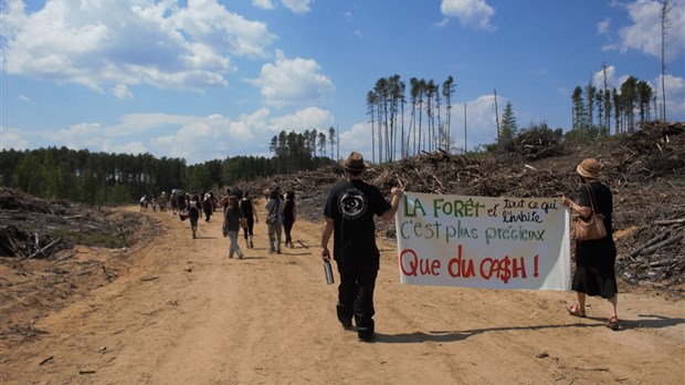 Mobilisation Matawinie poursuit la sensibilisation contre les coupes d'arbres