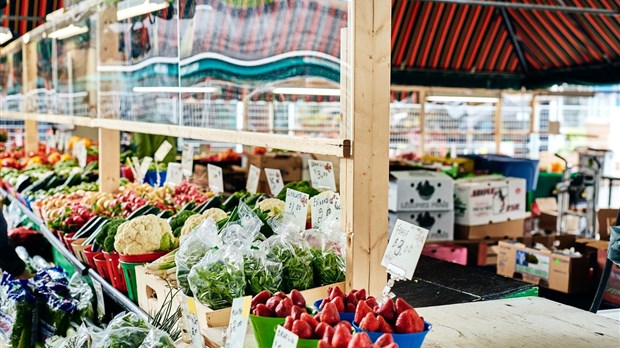 C’est reparti pour la vente de paniers de légumes dans le Nord de Lanaudière 