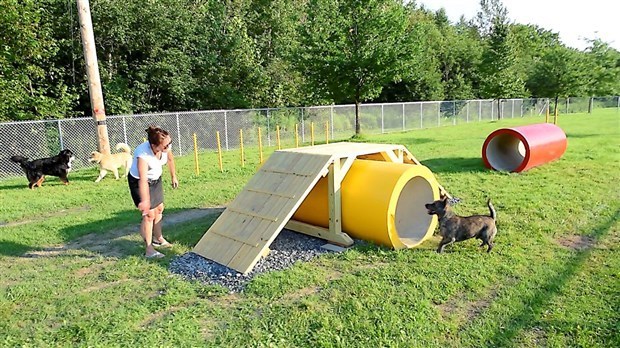 L'emplacement du parc canin de Joliette maintenant déterminé
