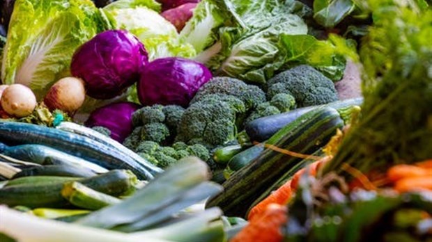 Une fin de saison haute en couleur pour le Marché public de Joliette 