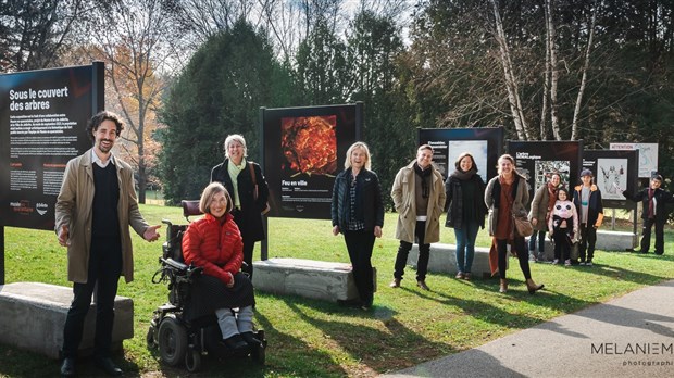 Sous le couvert des arbres : Une exposition en plein air