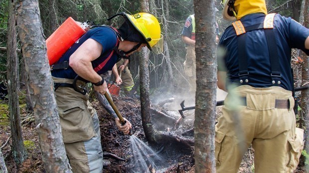 Près de 2 fois plus de feux de forêt que la moyenne en juin