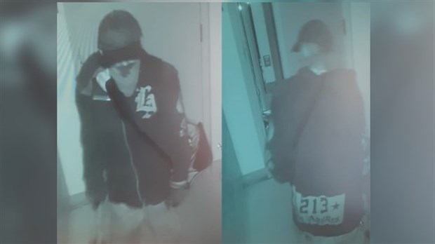 Vol et méfaits : La SQ demande l’aide public pour identifier un suspect