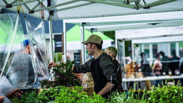 Une dernière visite des marchés publics de la région s’impose 