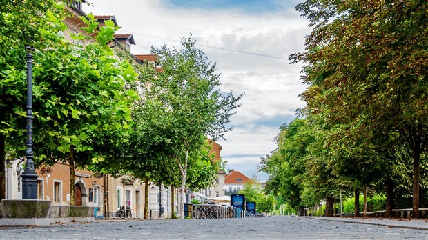 Canicules, crise climatique et pouvoir du municipal