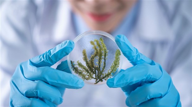Reconnaissance du Cégep régional Lanaudière à titre de leader en recherche bioalimentaire
