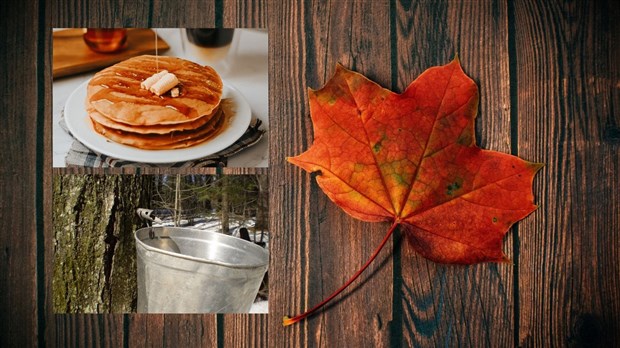L'initiative Ma cabane à la maison fait un retour bien sucré à travers tout le Québec