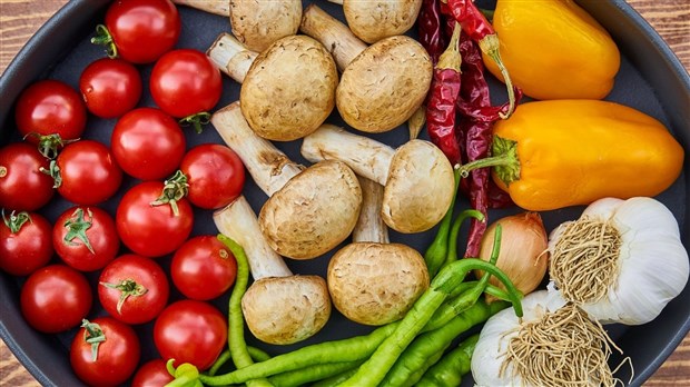 Une étude de caractérisation de la filière bioalimentaire lanaudoise en économie circulaire