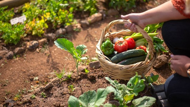 Une drôle de conférence sur l'horticulture sera présentée à Saint-Paul