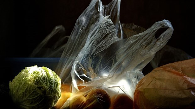 La MRC de l’Assomption demande le retrait des sacs de plastique dans les bacs de compost.