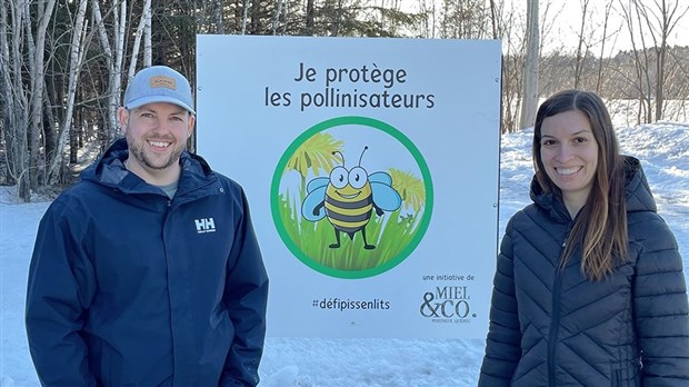Défi Pissenlits: éviter de tondre la pelouse en mai pour aider les pollinisateurs