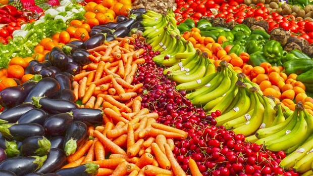 Bienvenue au nouveau Marché fermier de la ville de Saint-Élisabeth