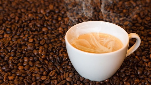 Un nouveau café accueille les amateurs de saveurs à Saint-Gabriel