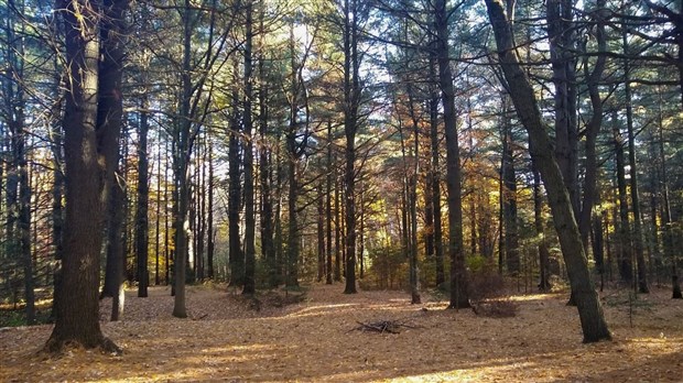 Une visite commentée sera donnée au Parc écologique de L'Assomption