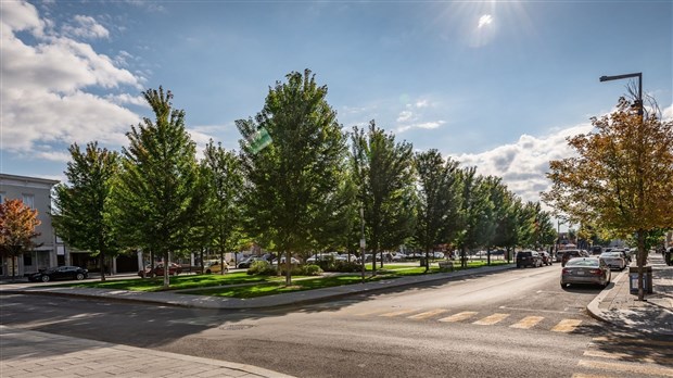  Un webinaire gratuit sera donné sur les enjeux climatiques en ville