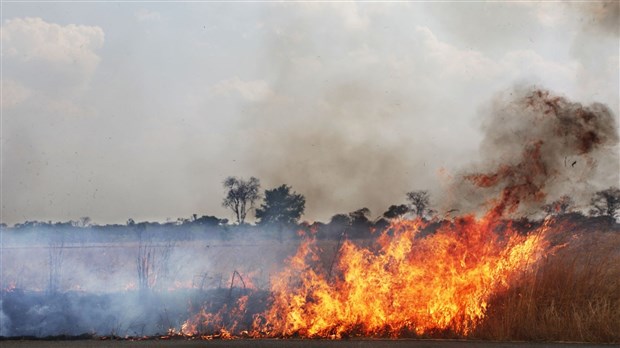 Interdiction de faire des feux à ciel ouvert en forêt ou à proximité
