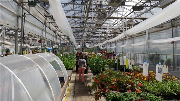 Vente printanière des productions étudiantes du Cégep à Joliette