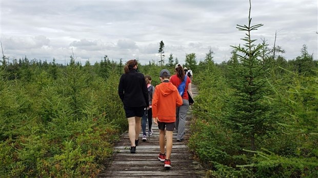 Célébrer le Mois de l'arbre et des forêts dans Lachenaie