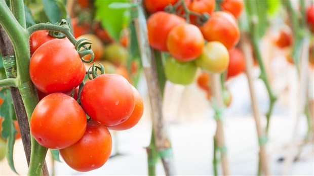Le Parcours gourmand bonifie ses emplacements à Sainte-Julienne