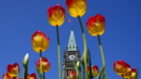 Des experts doutent de l'efficacité de la stratégie du Canada pour une économie verte