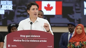 Le gouvernement crée la Journée nationale contre la violence liée aux armes à feu