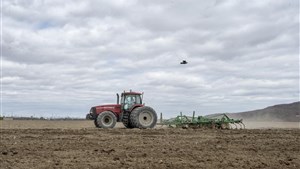 Devant les champs asséchés, le milieu agricole s'inquiète du manque de pluie
