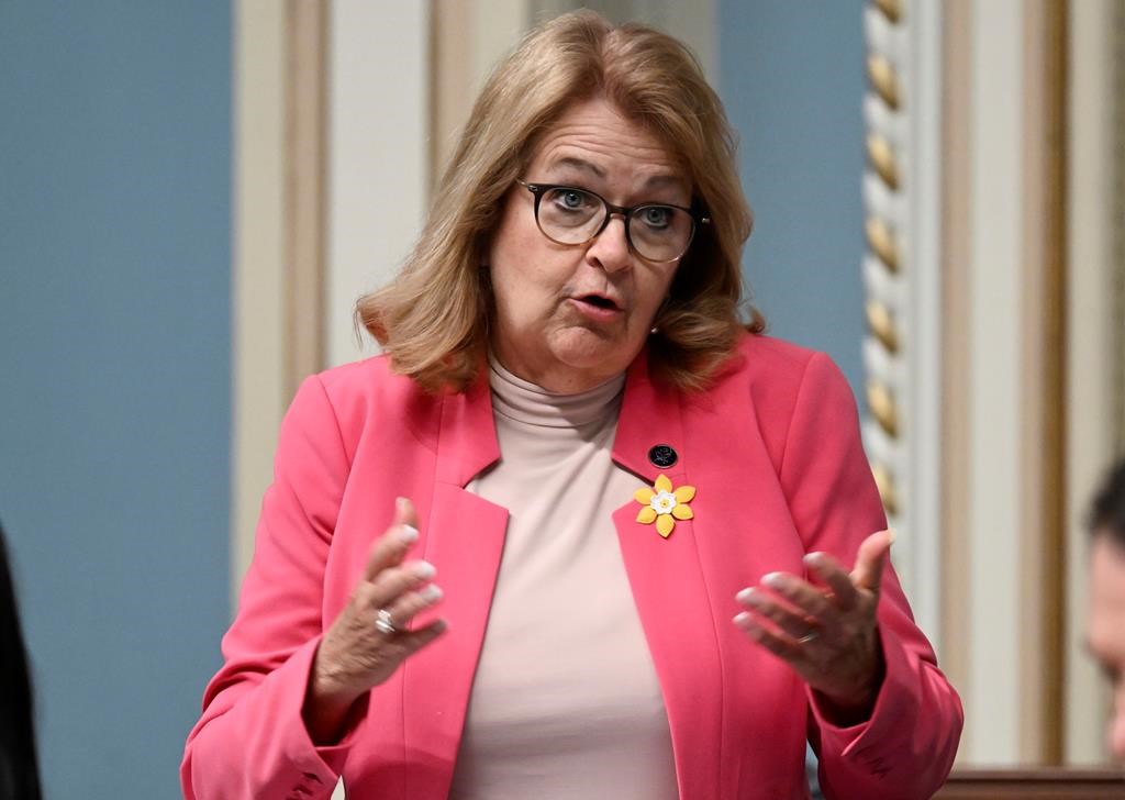 Identité de genre: la ministre de la Famille Suzanne Roy présidera le comité de sages