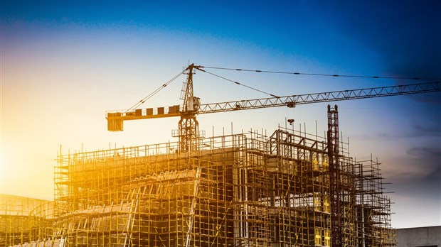 Louer une grue : Conseils et informations clés avant de s’engager