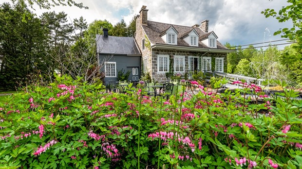 Vente de végétaux  au profit de Maison et jardins Antoine-Lacombe