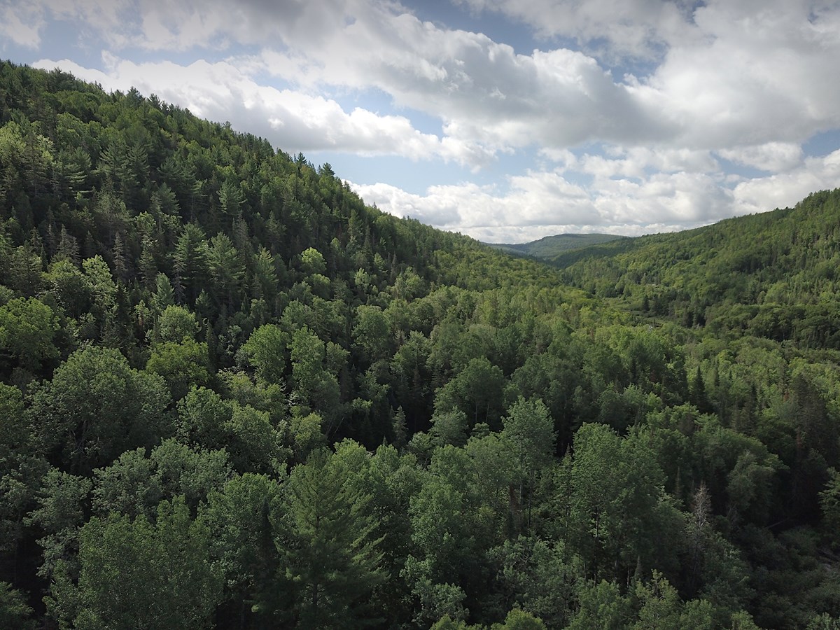 Un total de 223 hectares protégés de plus à SainteÉméliedel’Énergie
