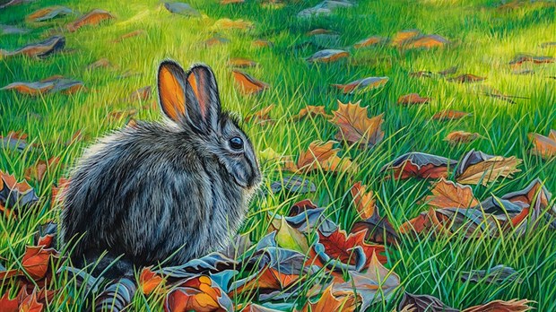 Une exposition de Danièle Désourdy à la Maison et jardins Antoine-Lacombe