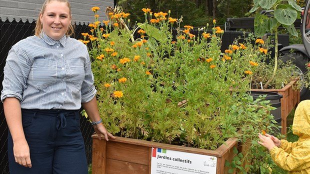 Des bacs pour les parcs de Saint-Félix-de-Valois
