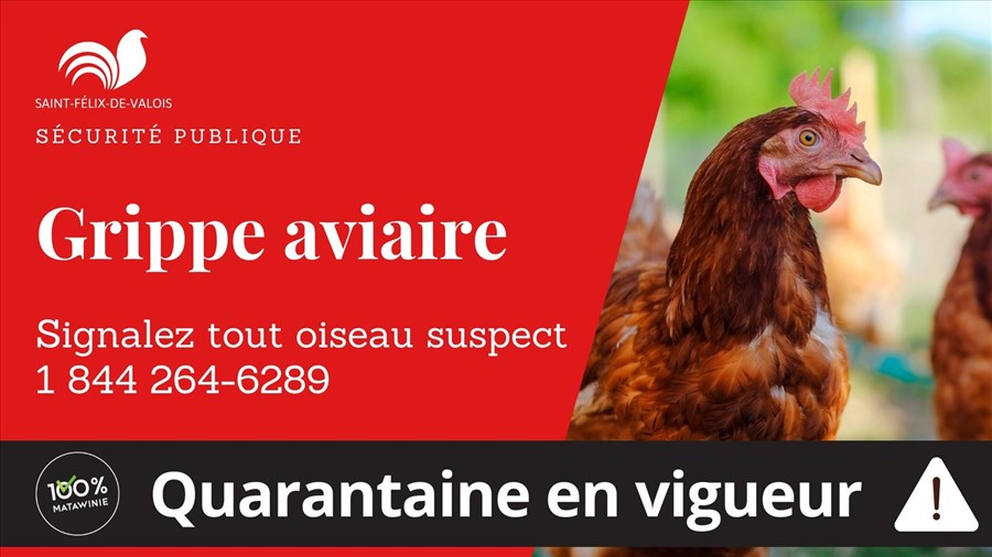 Grippe aviaire à St-Félix-de-Valois : décontamination jusqu'au 20 octobre