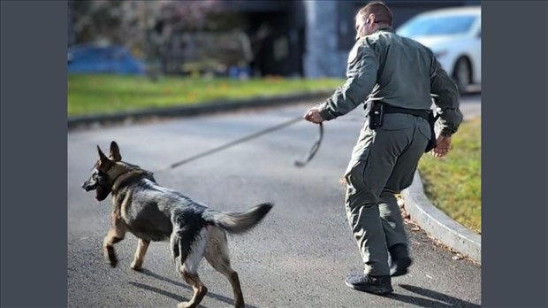 Opération policière en cours à Rawdon et Sainte-Julienne