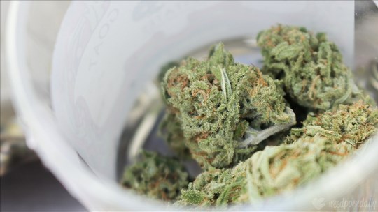 Opération policière à Rawdon et Ste-Julienne : trois personnes arrêtées