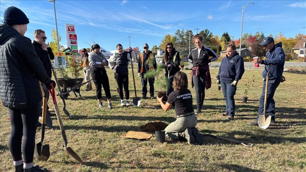 Une plantation vitrine pour Saint-Lin-Laurentides