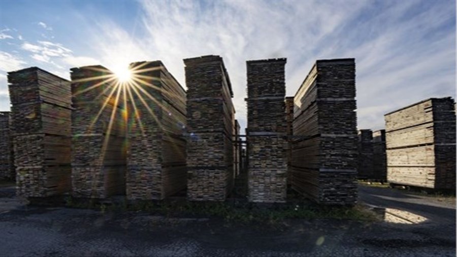 L'industrie forestière invite Ottawa à lui verser une compensation sur les droits