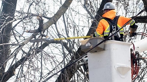 Plus de 95 % des clients touchés par les pannes de courant ont été rebranchés