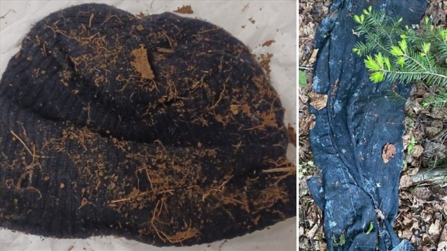 Un corps retrouvé en juin 2024 dans le parc national du Mont-Tremblant