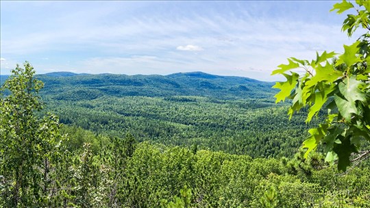 Développement régional:Une entente entre la MRC de Matawinie et de l'UQO