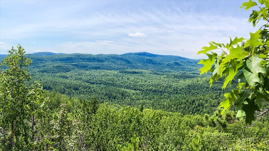 Développement régional:Une entente entre la MRC de Matawinie et de l'UQO