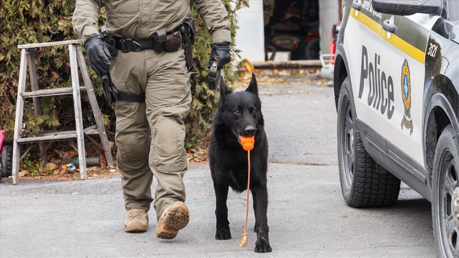 Perquisitions en cours dans le secteur de St-Charles-Borromée