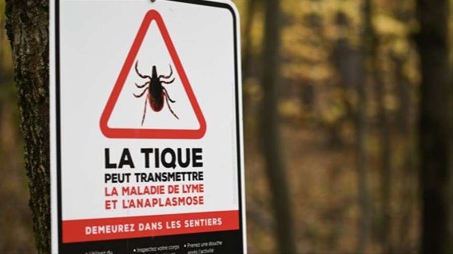 Québec lance un appel à la prudence concernant les piqûres de tiques et de moustiques