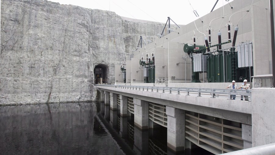 Des poissons de plus en plus en danger en raison des barrages hydroélectriques