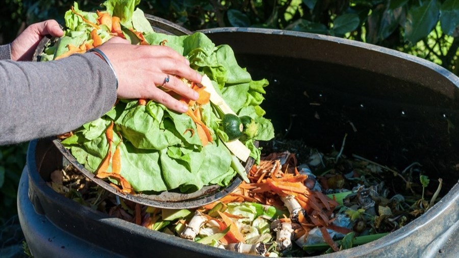 Appel de projets pour créer un centre de biomasse en Matawinie