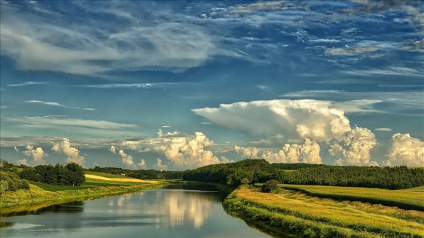 Un soutien pour les agriculteurs du littoral du Lac-Saint-Pierre 