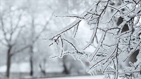 Verglas: mesures préventives, fermetures et préparation recommandée