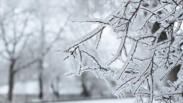 Verglas: mesures préventives, fermetures et préparation recommandée