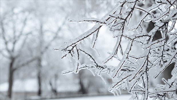 Verglas: mesures préventives, fermetures et préparation recommandée