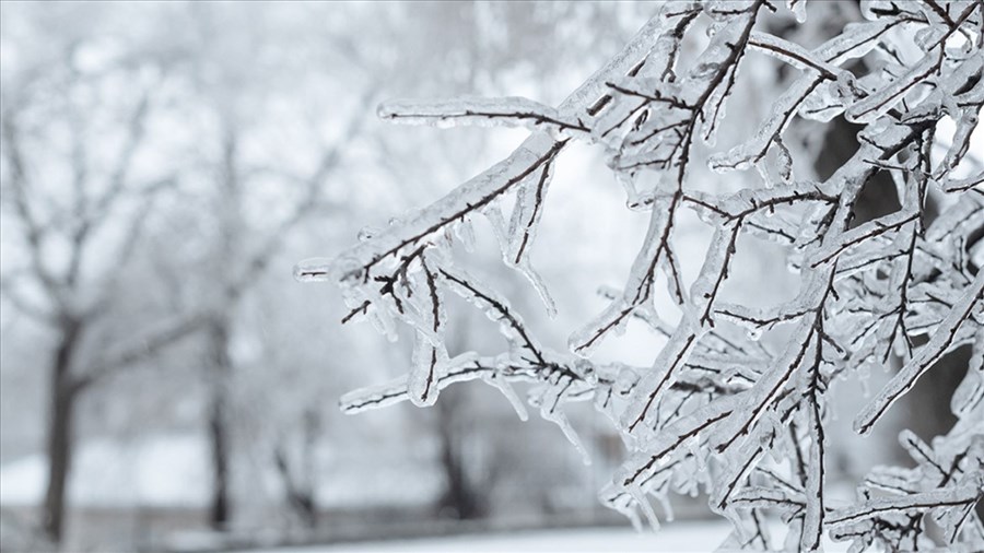 Verglas: mesures préventives, fermetures et préparation recommandée